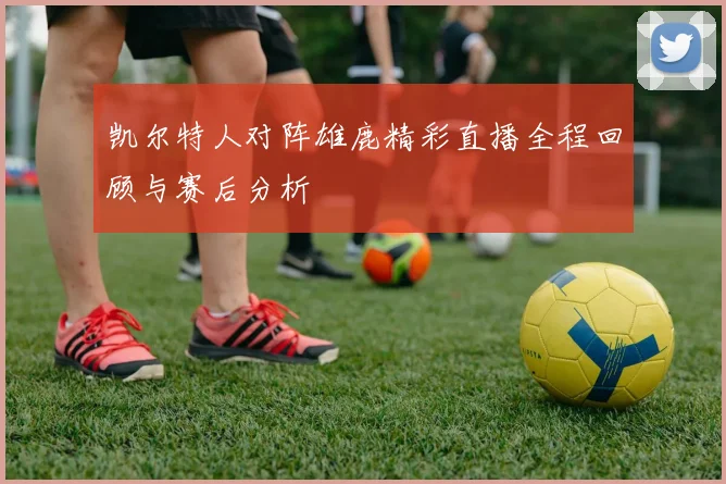 凯尔特人对阵雄鹿精彩直播全程回顾与赛后分析