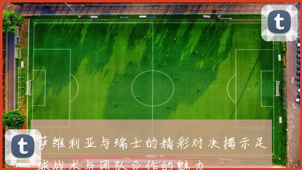 萨维利亚与瑞士的精彩对决揭示足球战术与团队合作的魅力